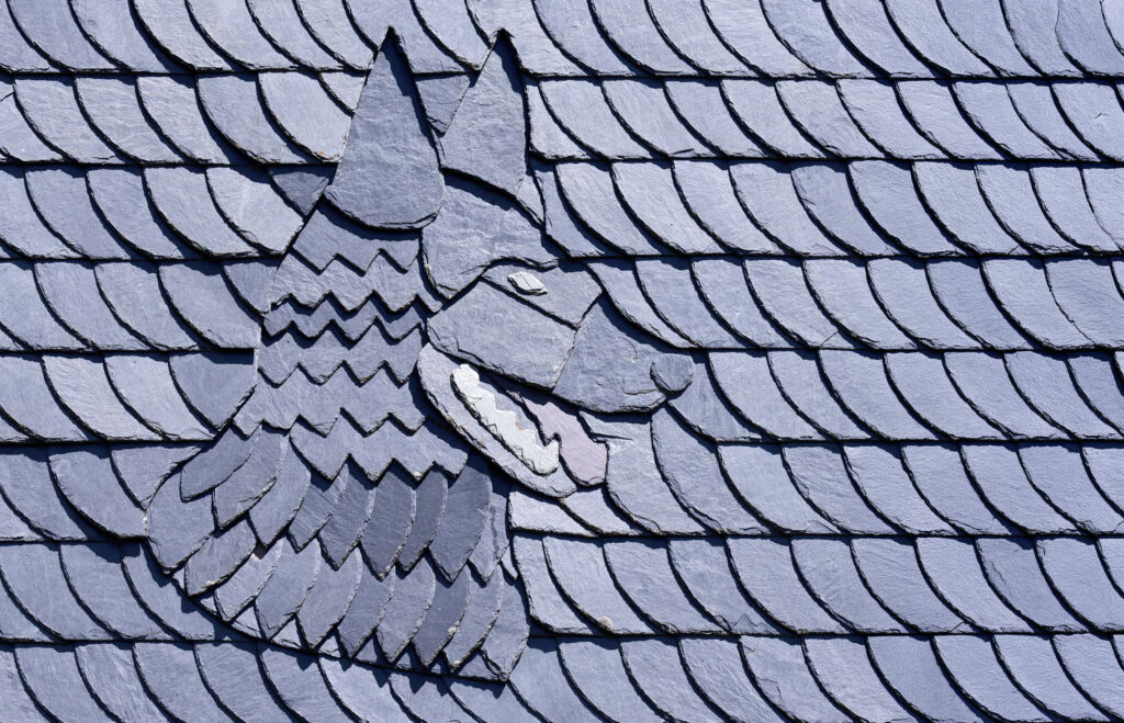 Kunstvoller Wolf als Schiefer-Ornament eingebettet in gleichmäßige Bogenschnitt-Deckung – handwerkliche Schieferkunst von Meyendriesch-Dach, Hunsrück